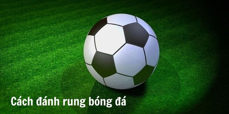 Hướng dẫn đánh rung trong bóng đá