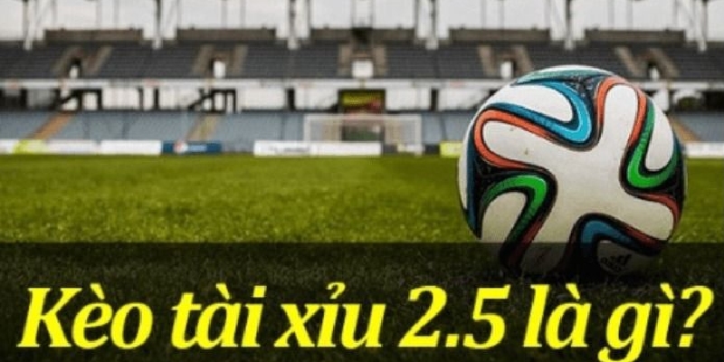 Tìm hiểu kèo tài xỉu 2.5 trái là gì?